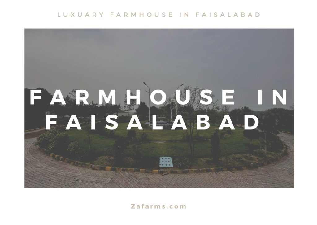 Farmhouse in Faislabad